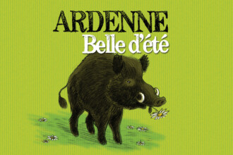 Belle d&rsquo;Eté