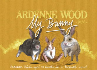 ARDENNE WOOD, My Bunny